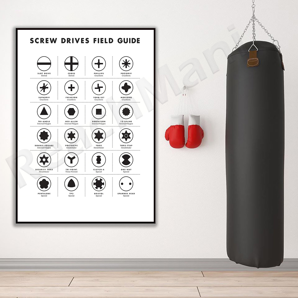 Screw drive site guide wall ar - Workshop Tools Types 评论和价格